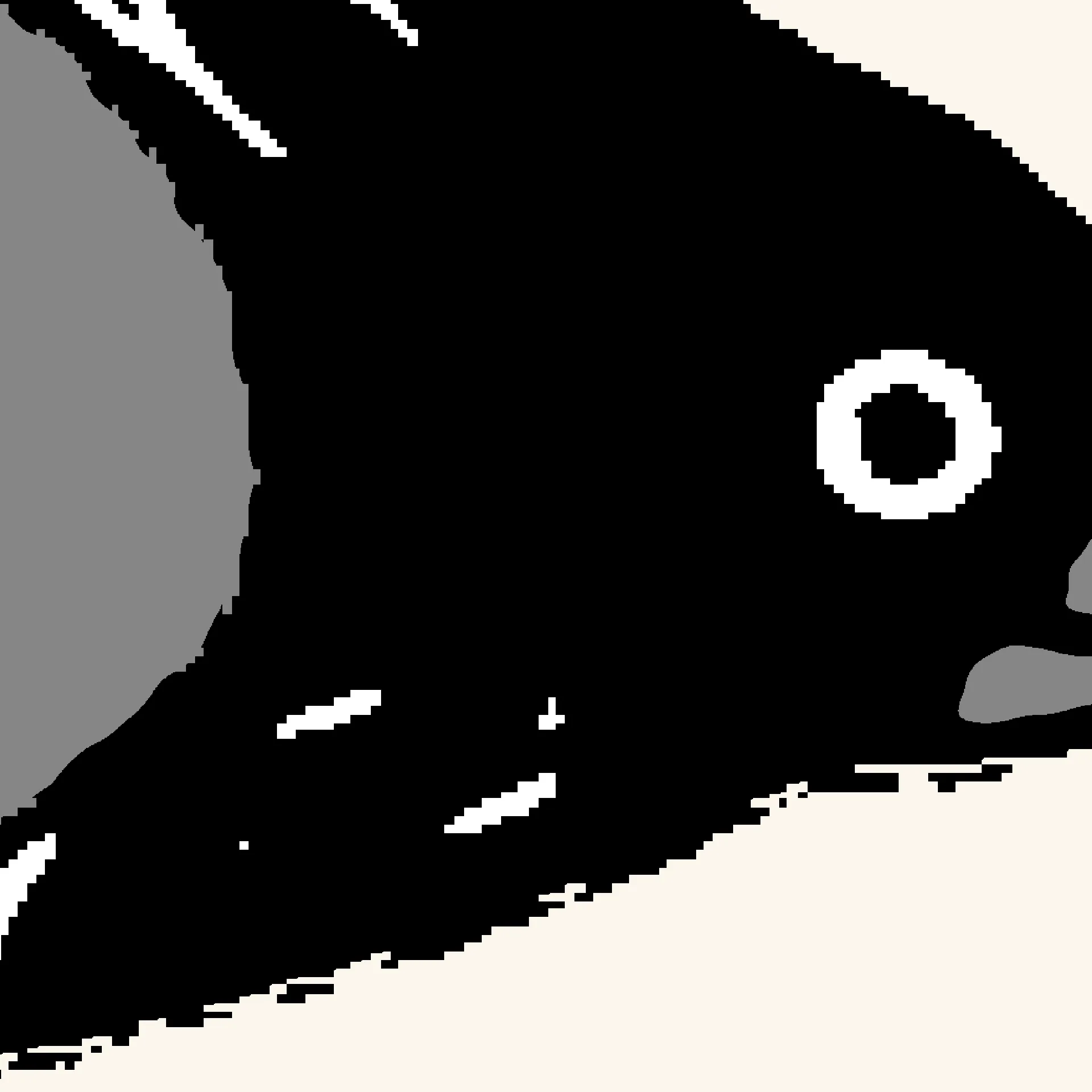 Designs for Radbird LLC